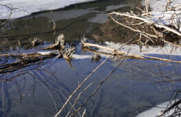 010 - es liegt wie es daher kommt